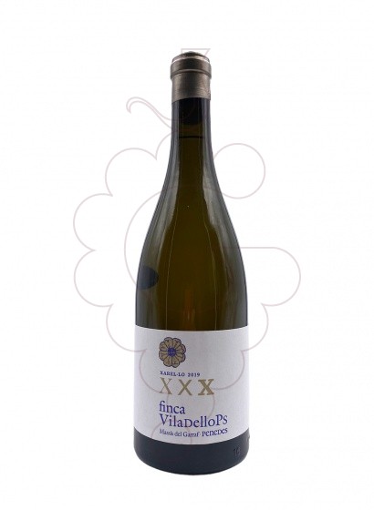 Xxxvino - Finca Viladellops XarelÂ·lo XXX 0,75 L | Comprar en Grauonline.es